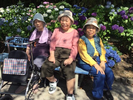あじさい街道見物