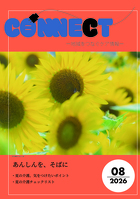cone08_26